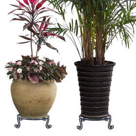 Autopromake bronze finish plant stand blends with natural decor