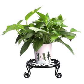 Autopromake elegant black finish complements modern indoor and outdoor decor