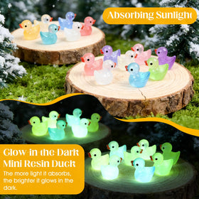 AUUTI duck charms for DIY projects add color and whimsy