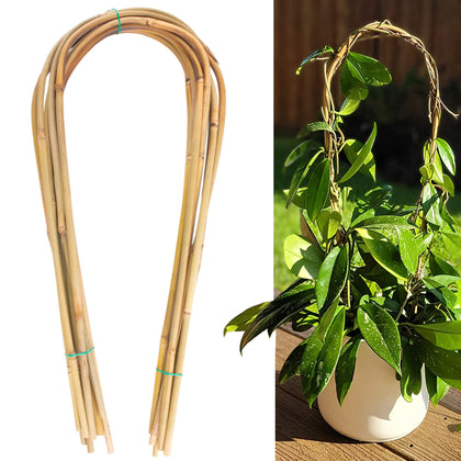 Avalution 16-inch bamboo U-hoop trellis supports climbing plants for better sun exposure.