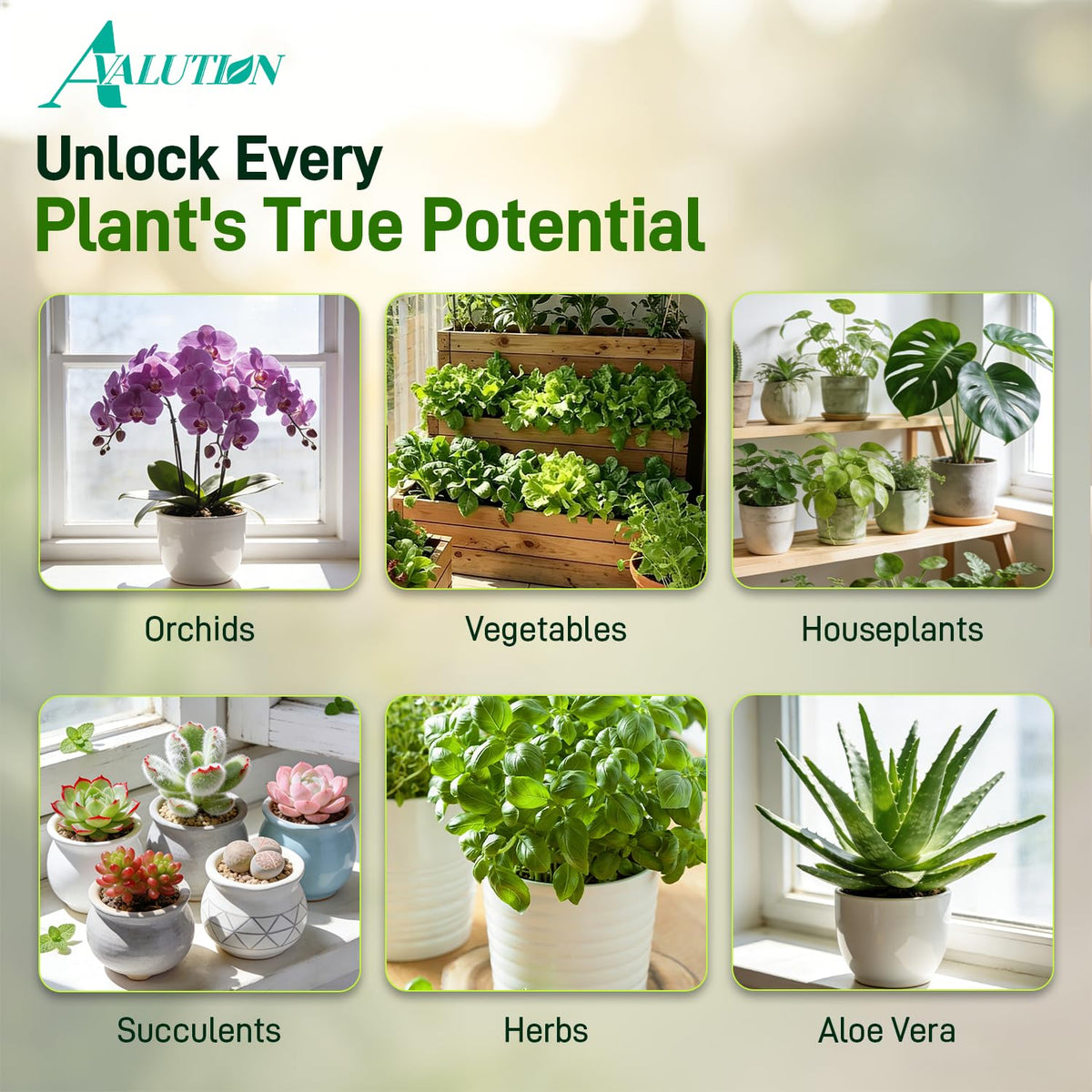 Avalution 18QT Potting Soil Mix indoor-outdoor compatibility image shows versatility across setups.
