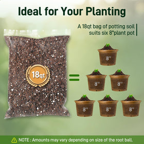 Avalution 18QT Potting Soil Mix root health closeup emphasizes balanced nutrition.
