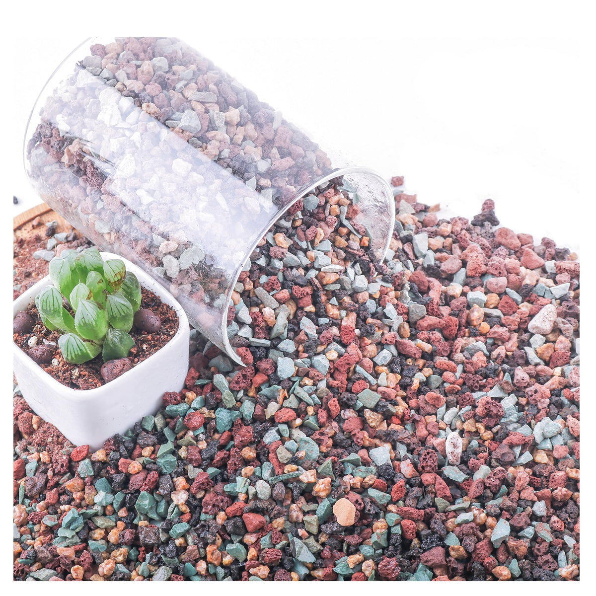 Avalution lava rock mix top dressing supports drainage for potted plants.