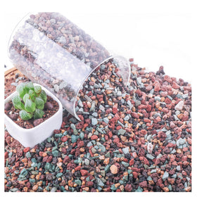 Avalution lava rock mix top dressing supports drainage for potted plants.