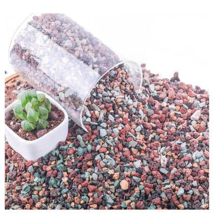 Avalution lava rock mix top dressing supports drainage for potted plants.