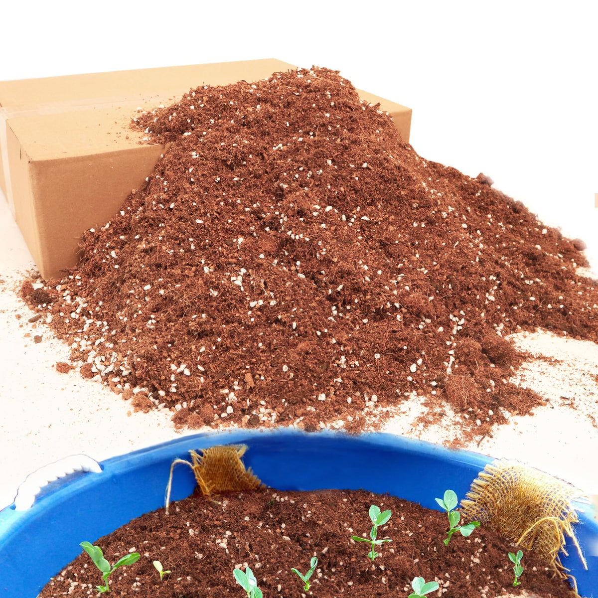 Avalution 9QT potting soil mix packaging ready for easy indoor container gardening.
