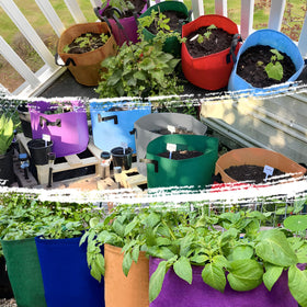 Avalution plant grow bag set suitable for patios, terraces, and more.