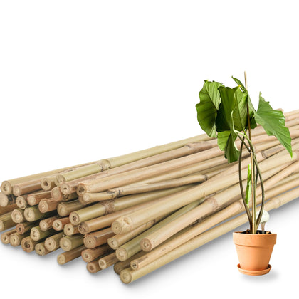 Avalution bamboo plant stake 3ft supports indoor and outdoor plants for steady growth.