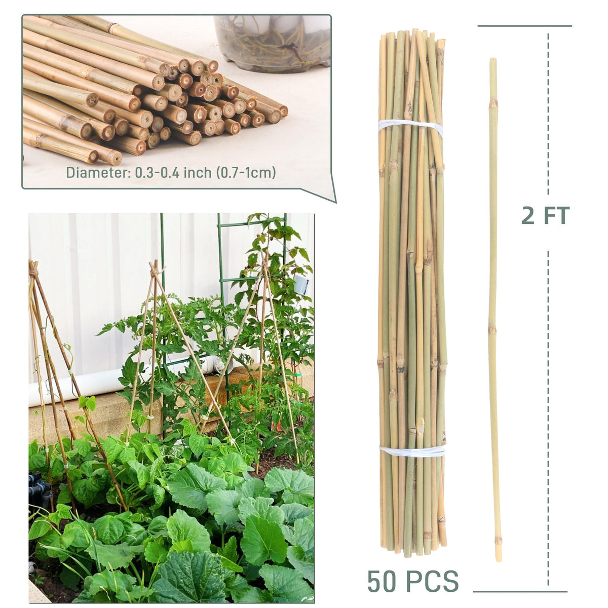 Avalution bamboo stake eggplant-support helps upright growth