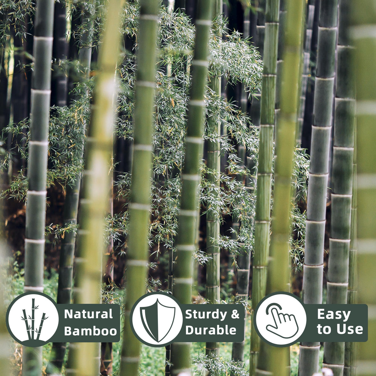 Avalution bamboo stake for tomatoes 3ft helps vines grow neatly and fruit set.