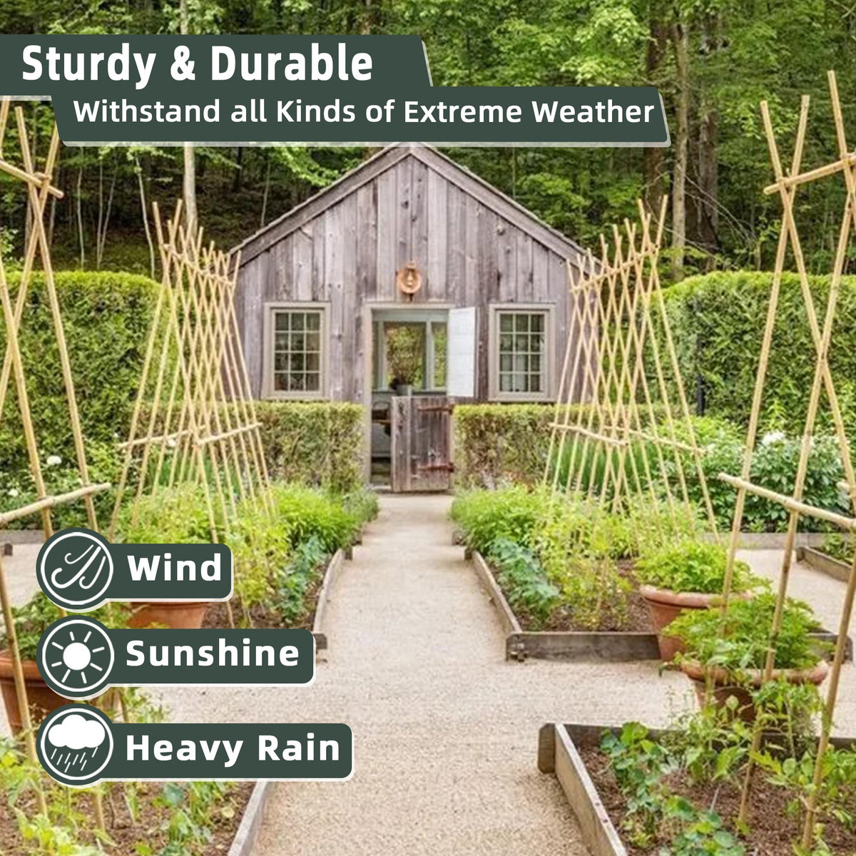Avalution bamboo stake for vegetables 3ft provides versatile support for beans and cucumbers.