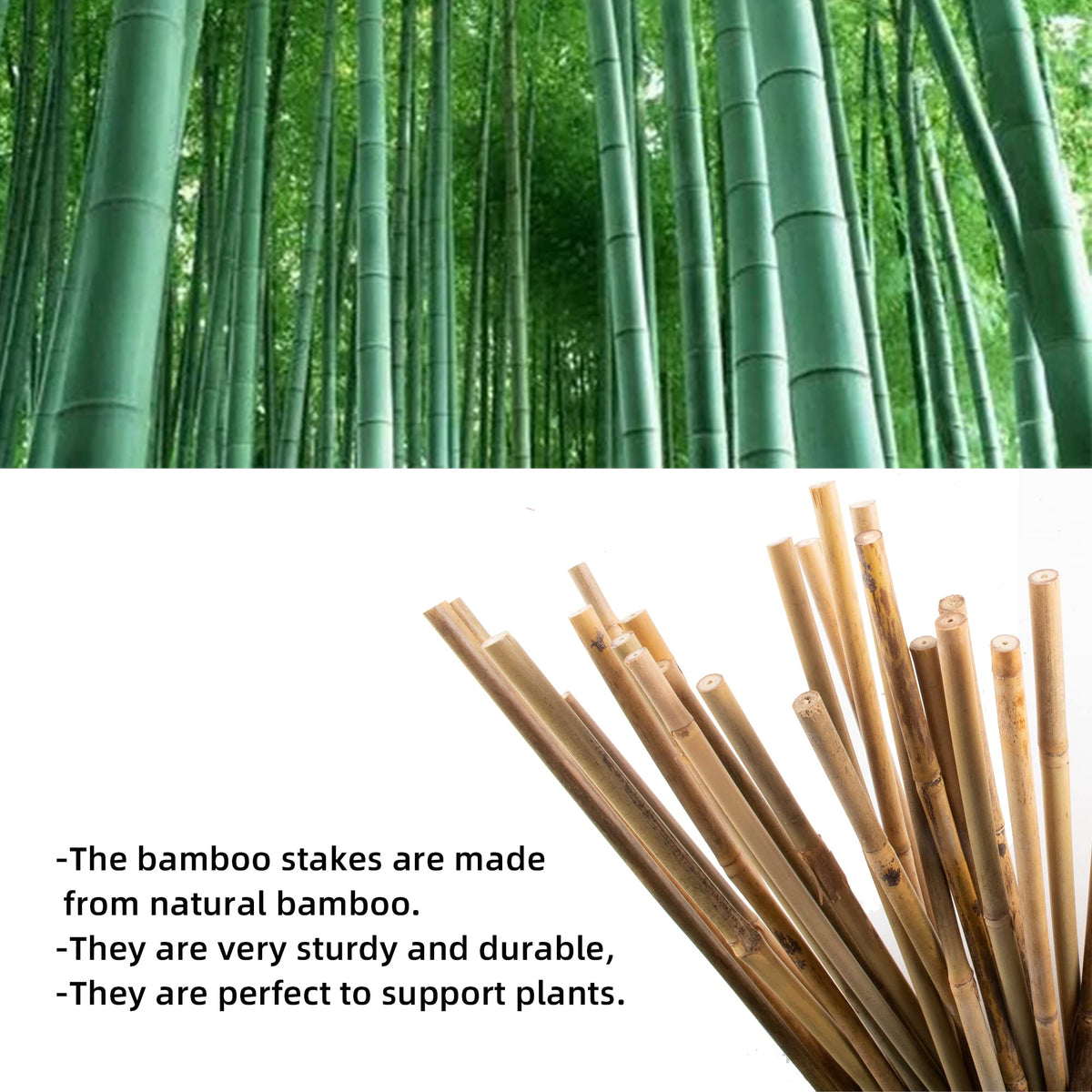 Avalution bamboo trellis in fan shape supports climbing vines for patio pots.