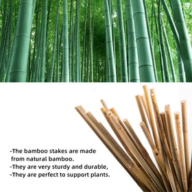 Avalution bamboo trellis in fan shape supports climbing vines for patio pots.