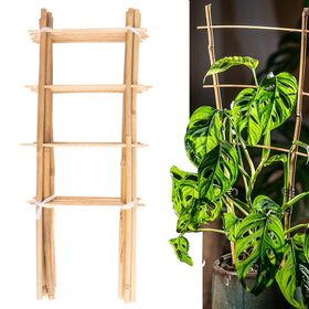 Avalution bamboo trellis with ladder design provides sturdy support for potted plants.