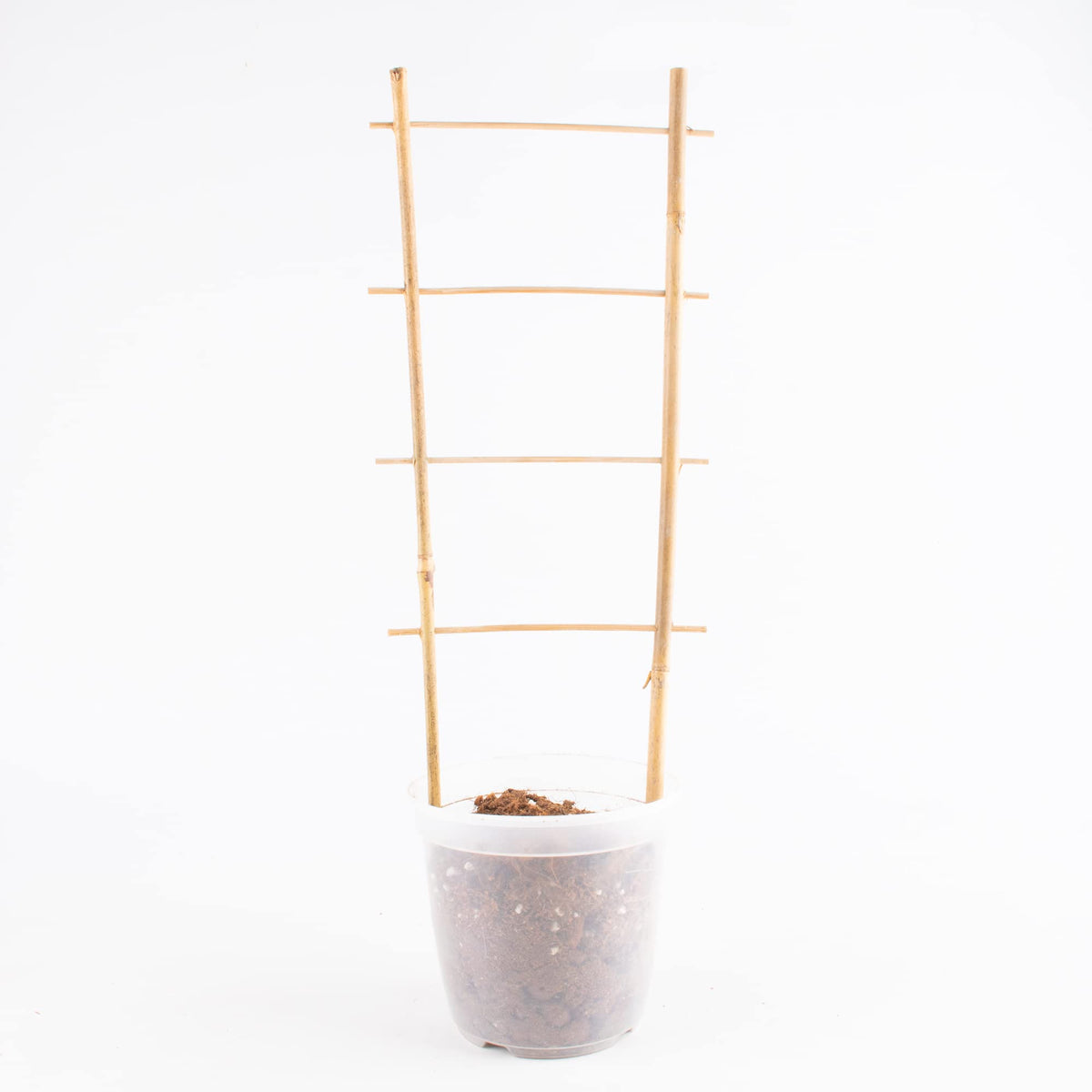 Avalution bamboo structure withstands outdoor conditions while blending with natural garden aesthetics.