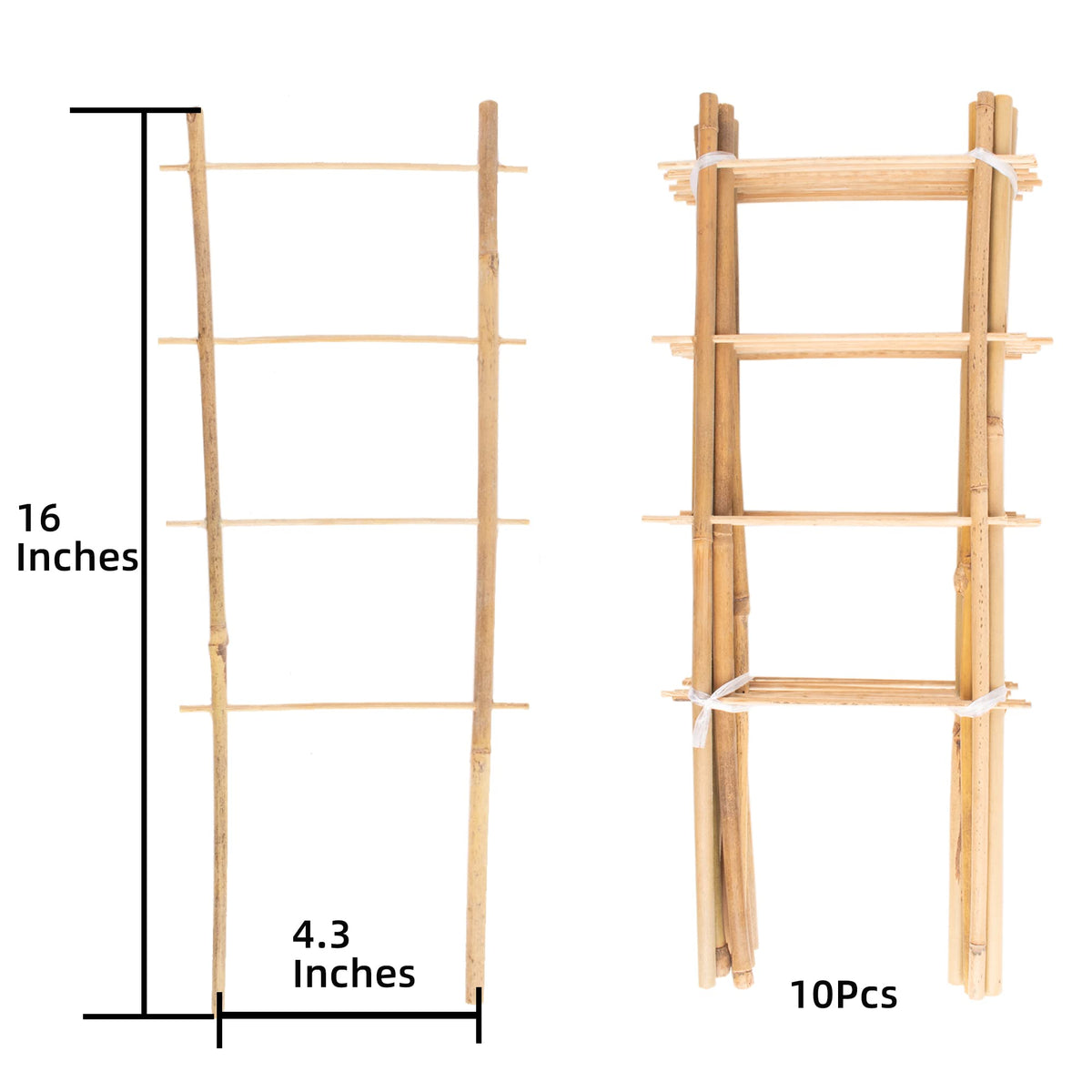 Avalution trellis helps indoor plants climb, saving space on windowsills and shelves.