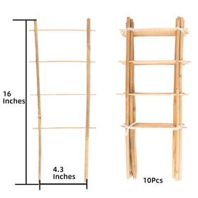 Avalution trellis helps indoor plants climb, saving space on windowsills and shelves.