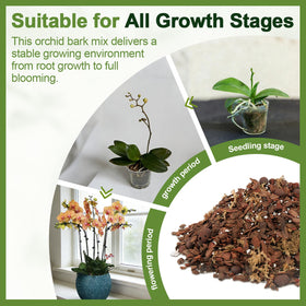Avalution clay pebbles improving drainage and moisture balance.