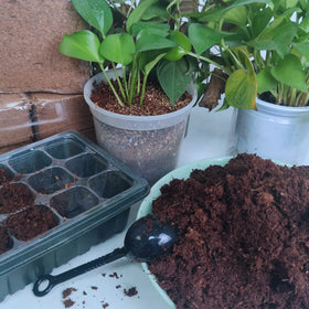 Avalution coco coir bricks packaging and ready-to-use bundle.