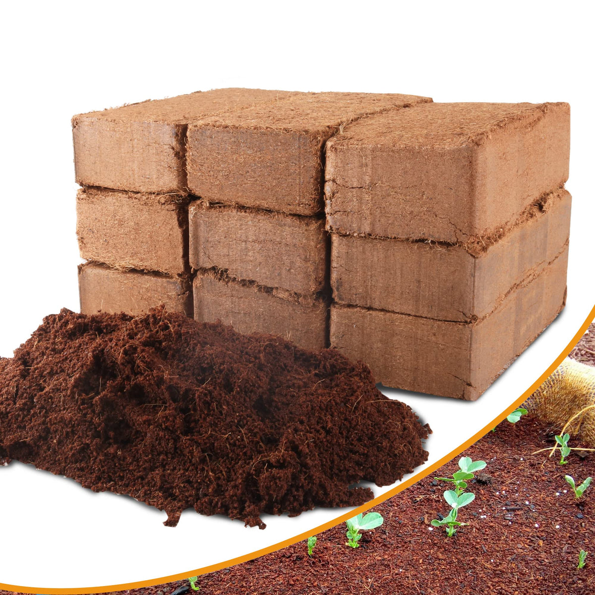 Avalution coco coir bricks setup before expansion for gardening readiness.