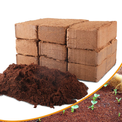 Avalution coco coir bricks setup before expansion for gardening readiness.