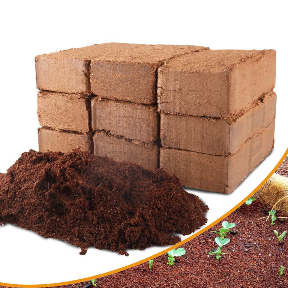 Avalution coco coir bricks setup before expansion for gardening readiness.