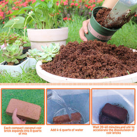 Avalution coco coir bricks soaking in water to absorb moisture efficiently.
