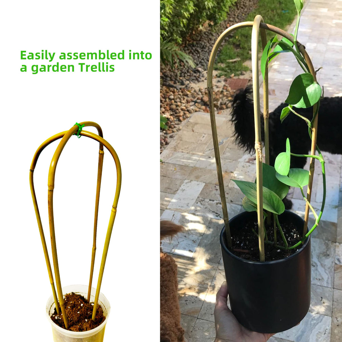 Avalution U-hoops install quickly; simply insert into soil.
