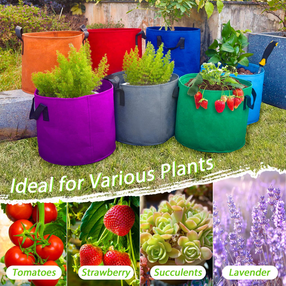 Avalution breathable bags suit balconies and backyards; store flat after season.