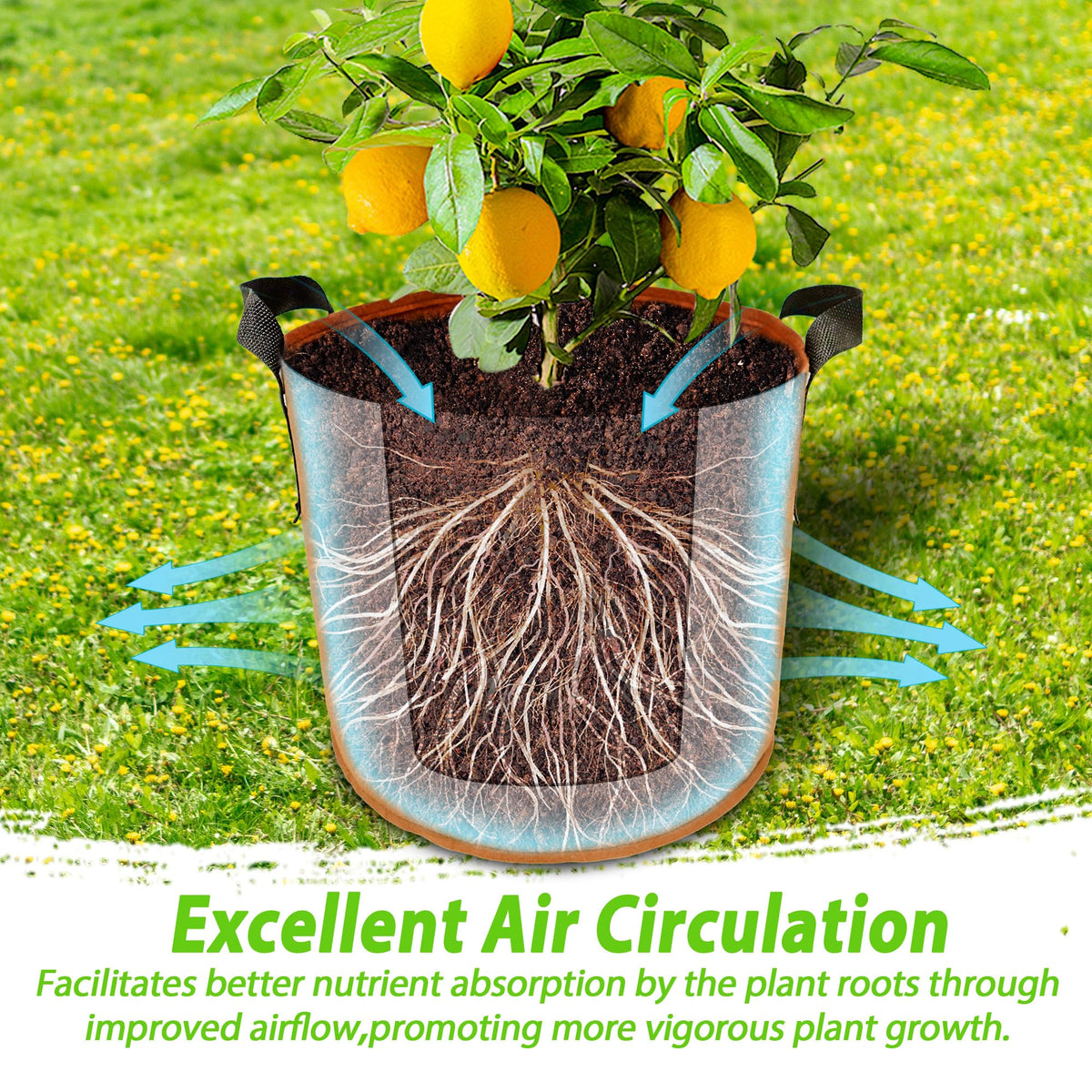Avalution fabric grow bag delivers excellent drainage to prevent root rot.