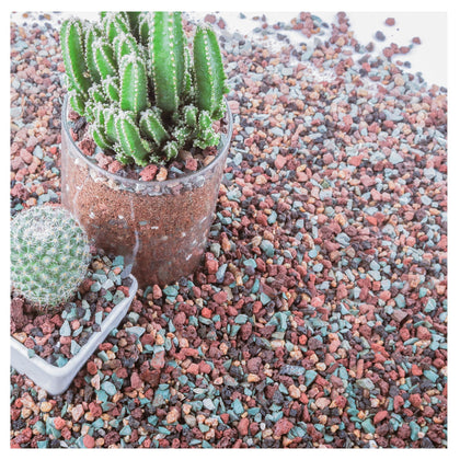 Avalution lava rock mix for succulent pots improves drainage and aeration.