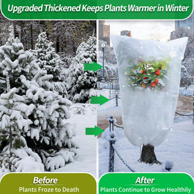 Avalution microclimate protection keeps heat near leaves and roots for healthier growth.