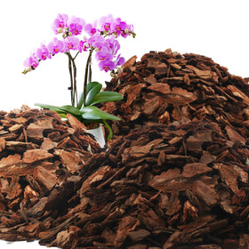 Avalution Orchid Bark 18qt bag with natural pine texture supports robust orchid roots.