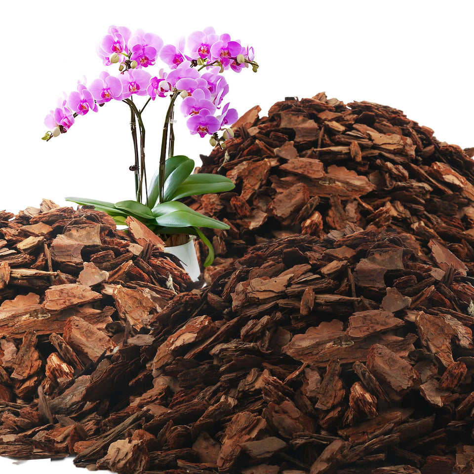 Avalution Orchid Bark 18qt bag with natural pine texture supports robust orchid roots.