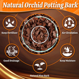 Avalution orchid bark closeup texture shows airy porosity for drainage.