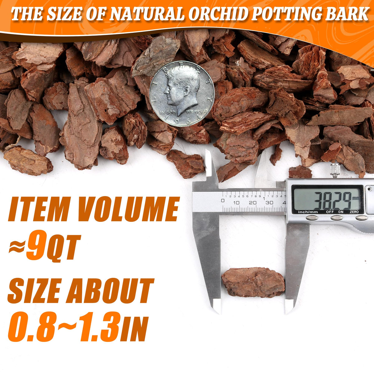 Avalution orchid bark in pot setup demonstrates balanced moisture and root space.