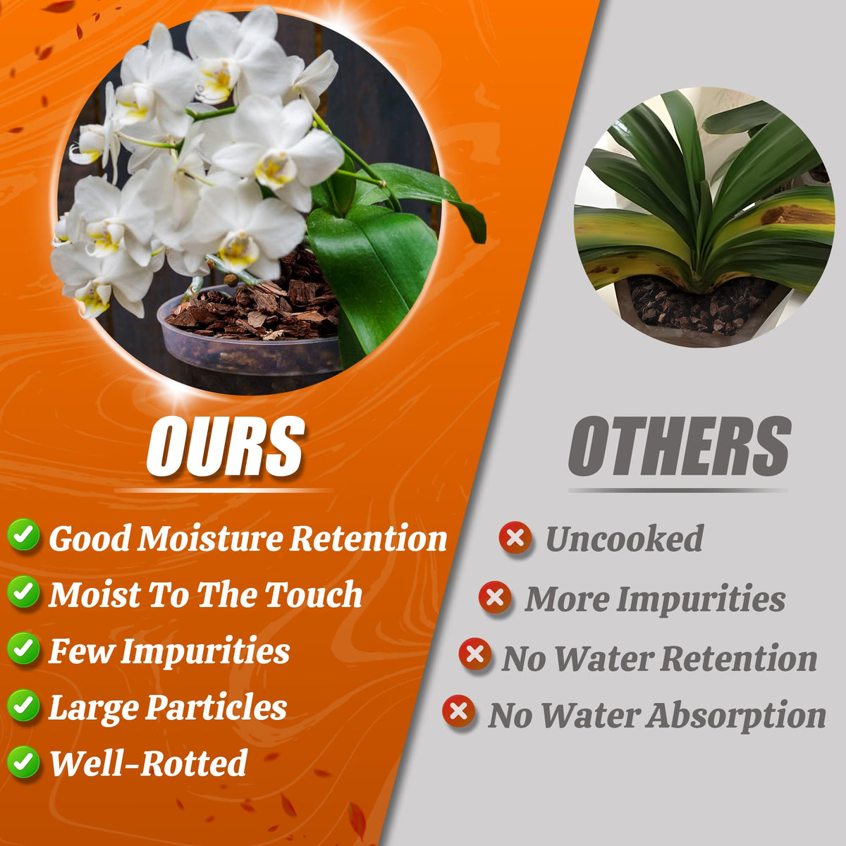 Avalution orchid bark moisture balance indicates hydration sweet spot for plants.