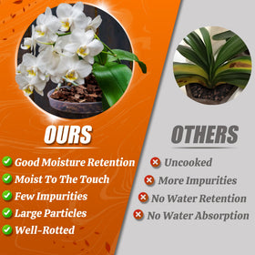 Avalution orchid bark moisture balance indicates hydration sweet spot for plants.