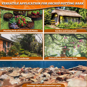 Avalution orchid bark versatile use for orchids and houseplants.