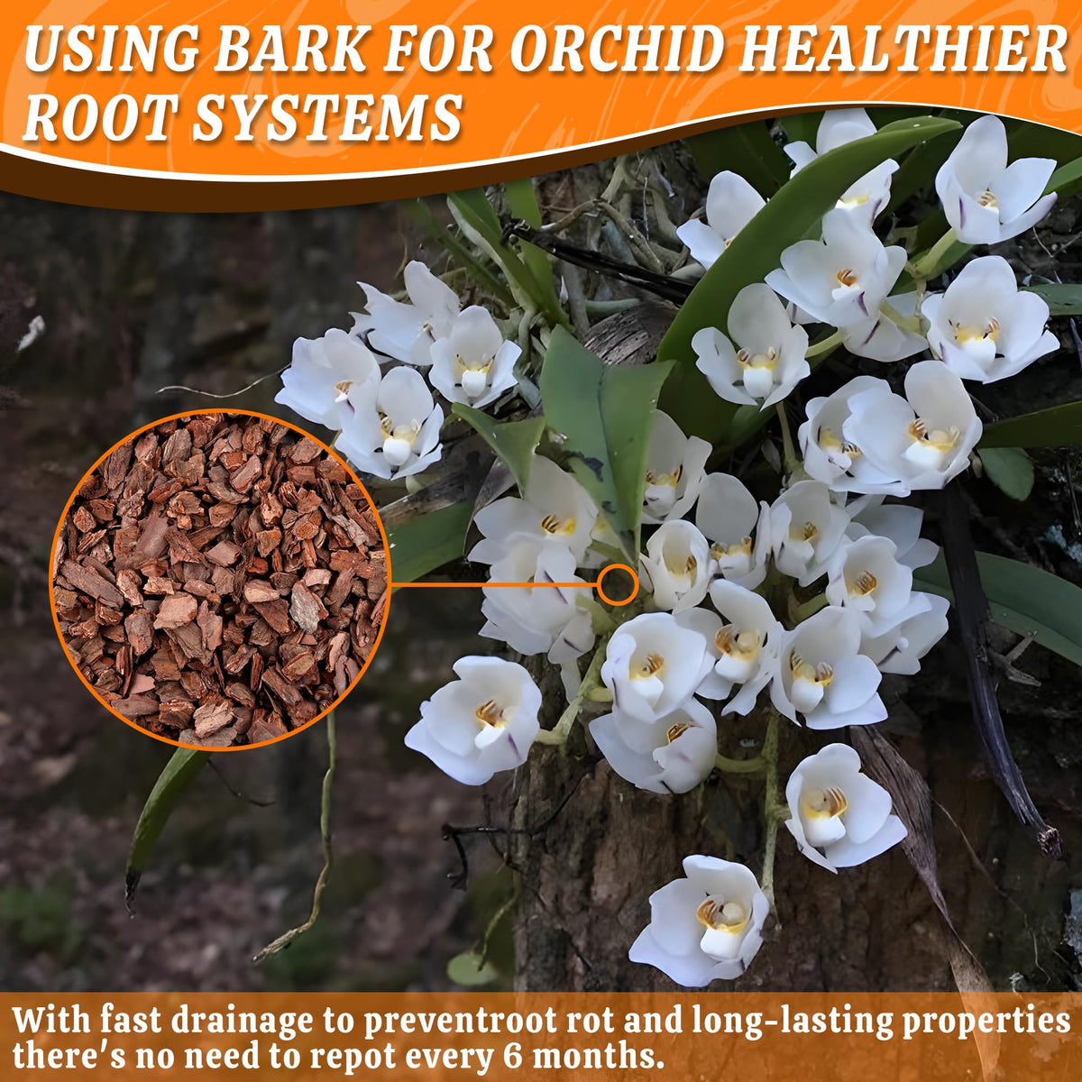 Avalution orchid bark pieces detail shows chunky chips aiding drainage.