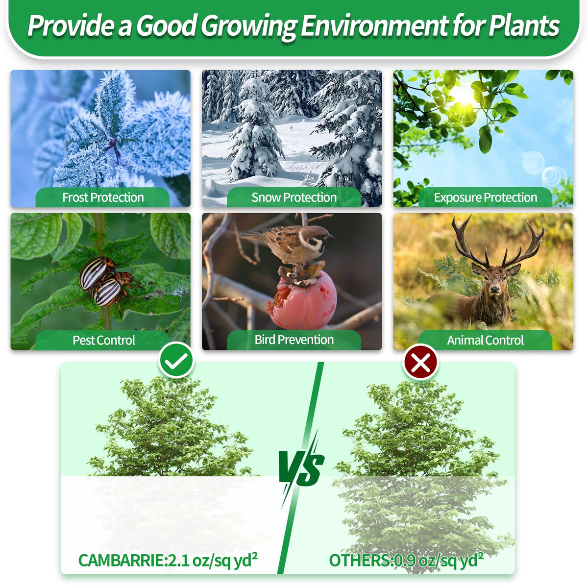 Avalution outdoor plant protection against frost helps preserve fruit, berries, and palms.