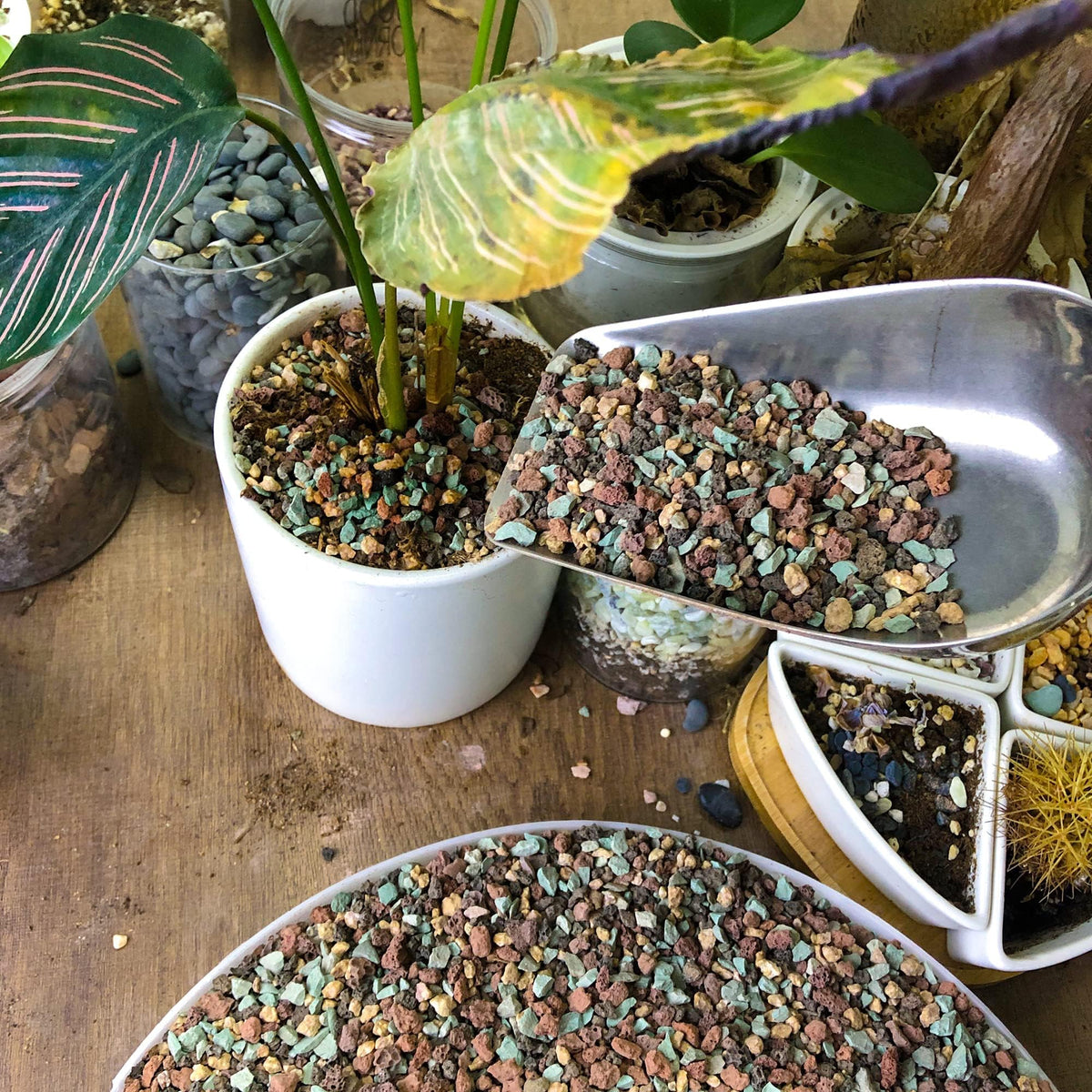 Avalution potting lava rock drainage amendment enhances soil structure for mixed substrates.