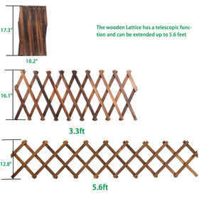 Avalution lattice panel expands to fit flexible outdoor wall setups.