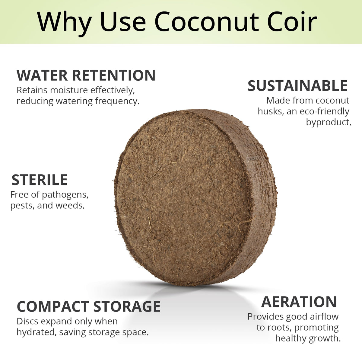 AVERGO bonsai-friendly coir disc suits delicate indoor trees