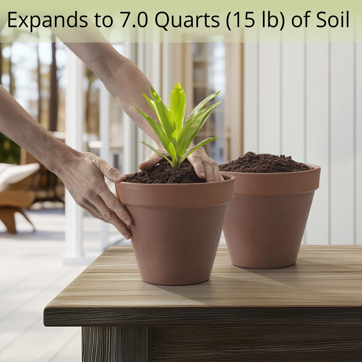 AVERGO bonsai soil discs provide premium coco fiber for bonsai and houseplants