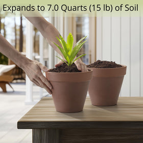 AVERGO bonsai soil discs provide premium coco fiber for bonsai and houseplants