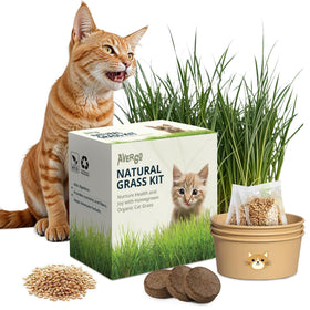 AVERGO cat grass seed packets; easy indoor sprouting for busy homes.