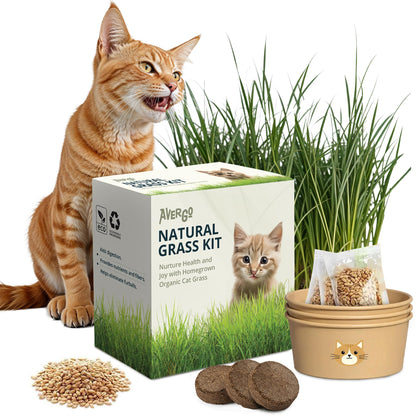 AVERGO cat grass seed packets; easy indoor sprouting for busy homes.