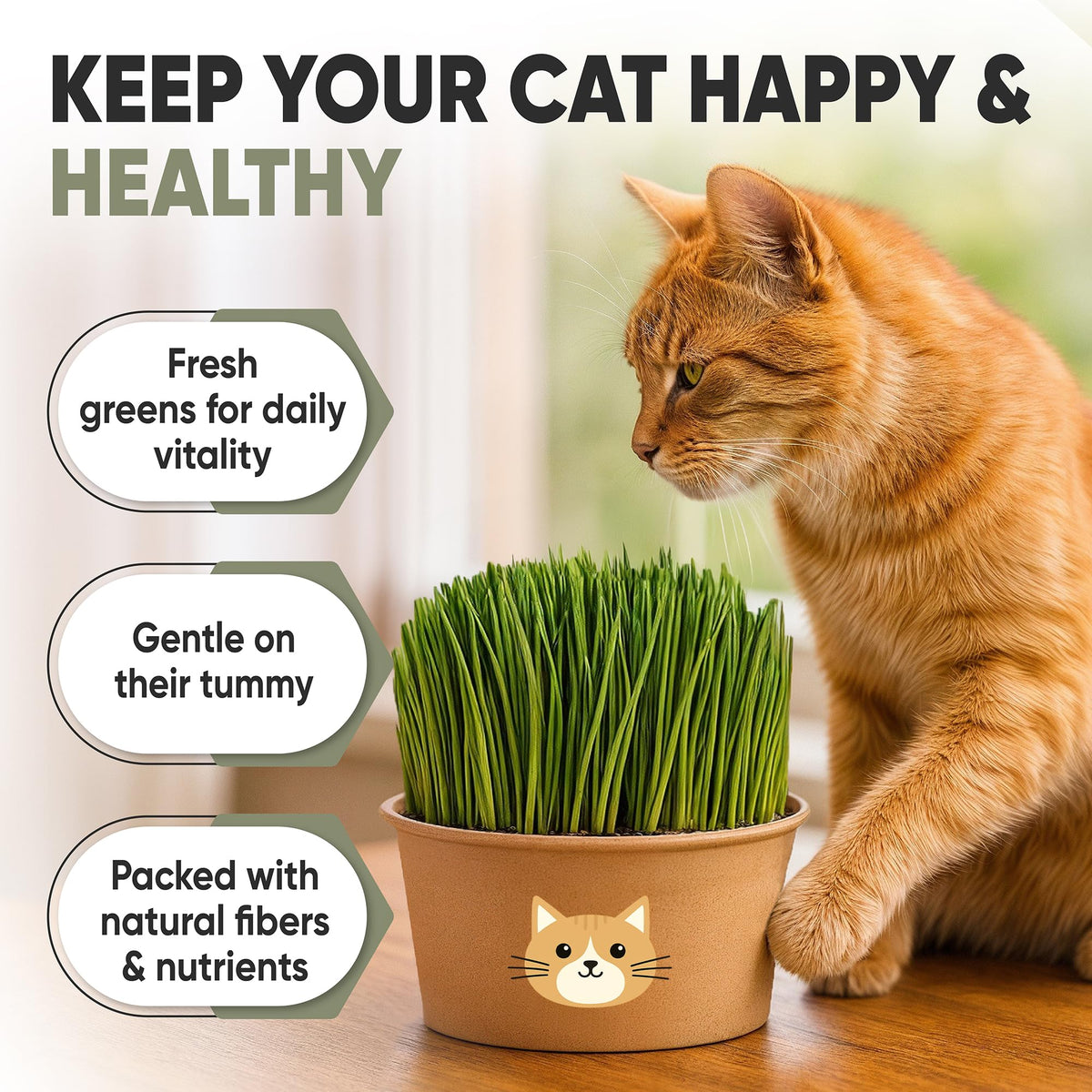 AVERGO indoor cat grass sprouting; quick growth for home setups.