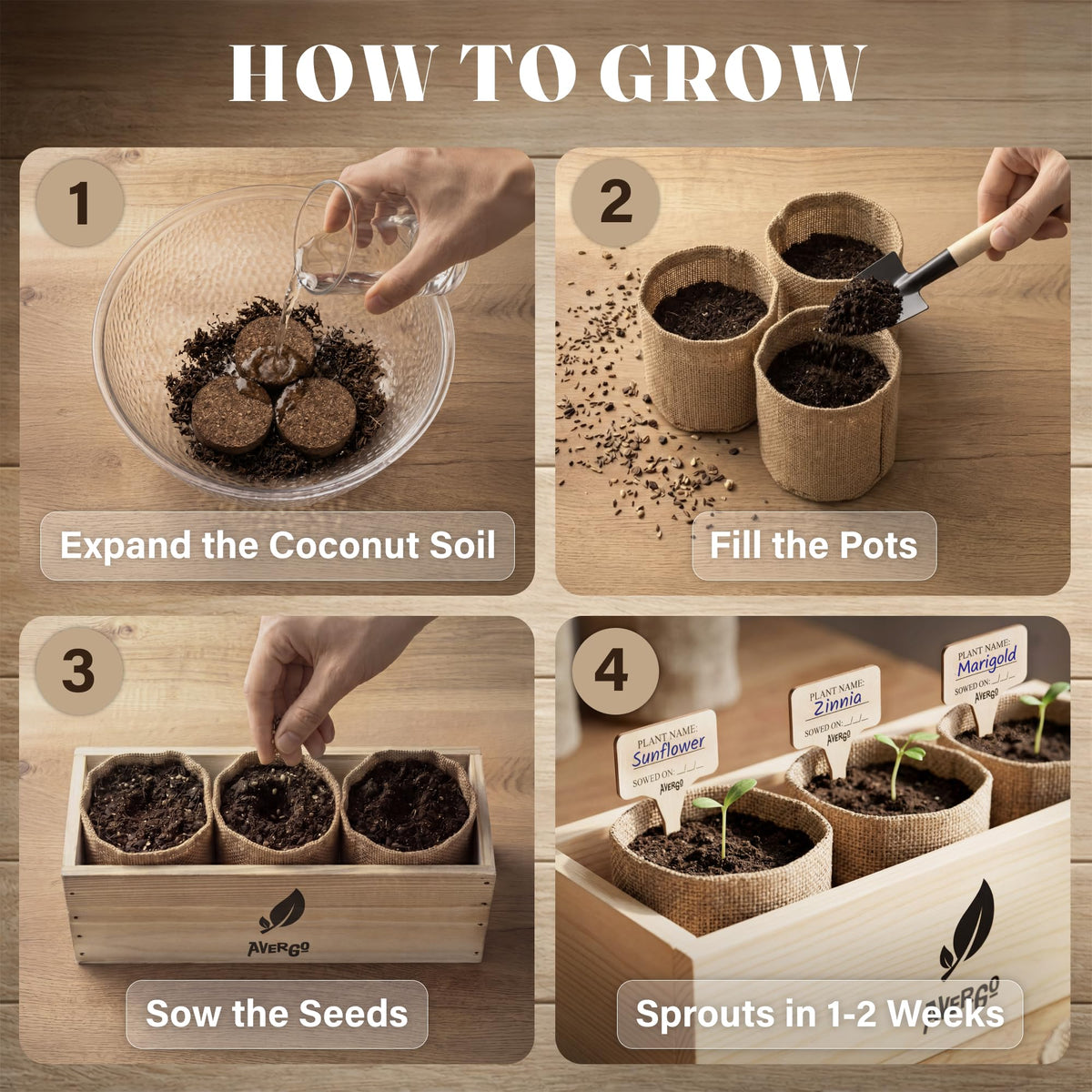 AVERGO marigold seeds kit: quick germination for cheerful garden corners